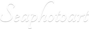 seaphotoart logo