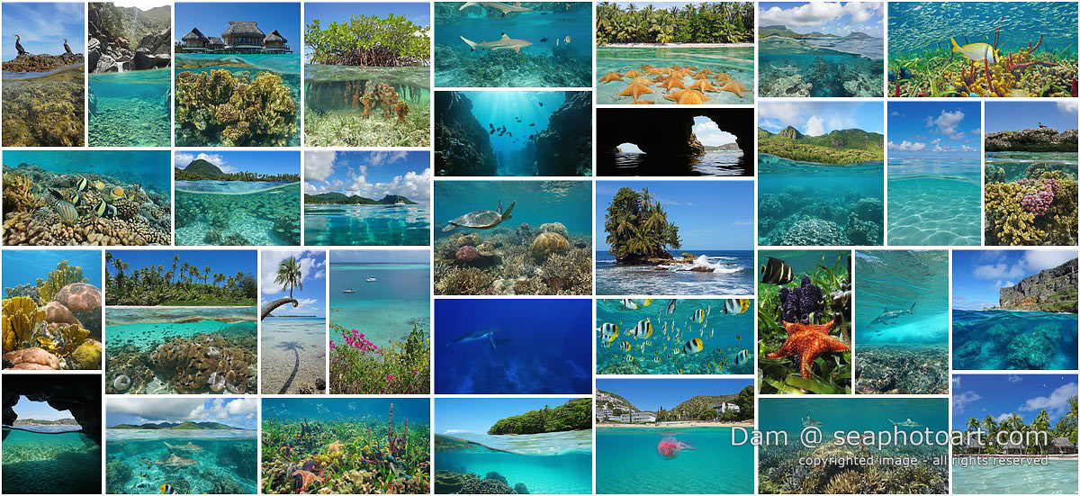 seaphotoart portfolio